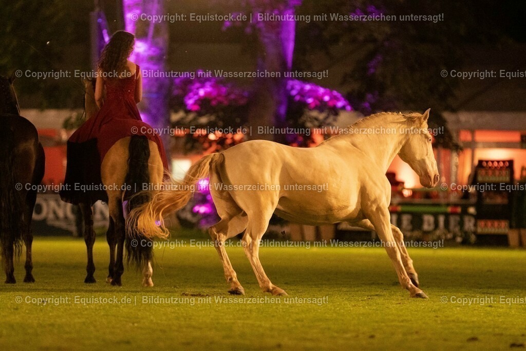 20230526_Pferdenacht_1470 | equistock