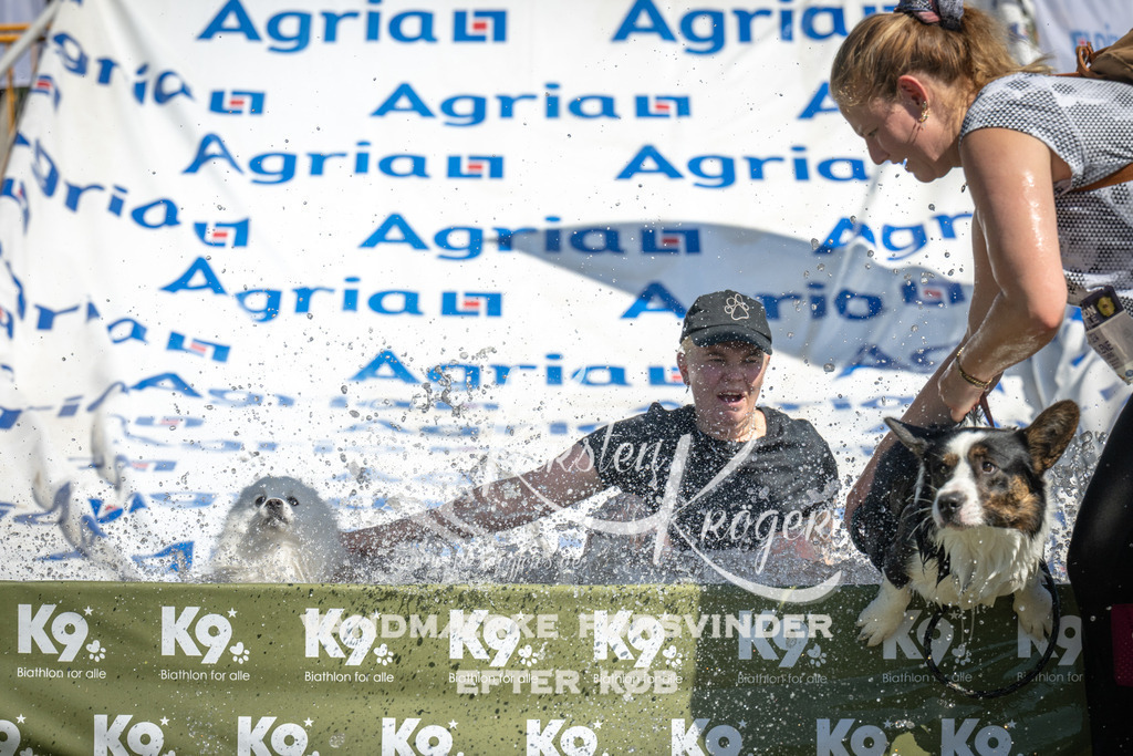 1259_ZZ97982 | kk-dogfotos