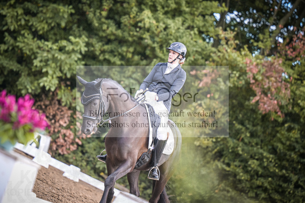 DOS_1410 | Entdecke hochwertige Reitturnierfotos von Foto Oger. Professionell, emotional und authentisch – jetzt Lieblingsmomente im Shop bestellen.Deutschlandweite Turnierfotografie. - Realisiert mit Pictrs.com
