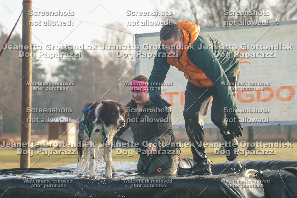 Dog Paparazzi - SD North Sa 830-900-61 | Dog Paparazzi Jeanette Grottendiek Fotografie & Videografie - Realisiert mit Pictrs.com