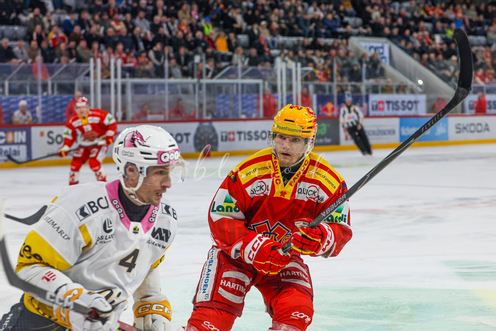 EHCB vs HCA 20260127_wb-9247 | Sportbilder, Sportfotograf, Hochzeits- und Eventfotografin, Flugshows, Portraits und Tiershooting, Aviation, Downhill, Nationalleague, Swissleague, International