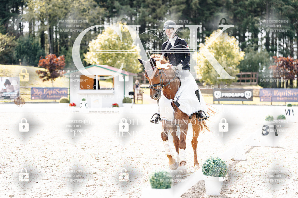 CK901022 | Turnierfotografie Pferdefotografie Trier Rheinland-Pfalz Pferdesport Reitsport Tierfotografie Sportfotografie Pferdevideo Pferdevideografie Equestrianvideography equestrianphotography  - Realisiert mit Pictrs.com