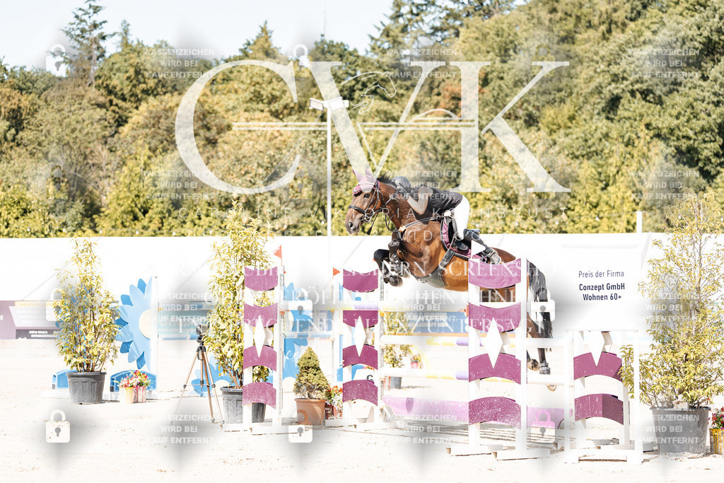 CK904780 | Turnierfotografie Pferdefotografie Trier Rheinland-Pfalz Pferdesport Reitsport Tierfotografie Sportfotografie Pferdevideo Pferdevideografie Equestrianvideography equestrianphotography  - Realisiert mit Pictrs.com