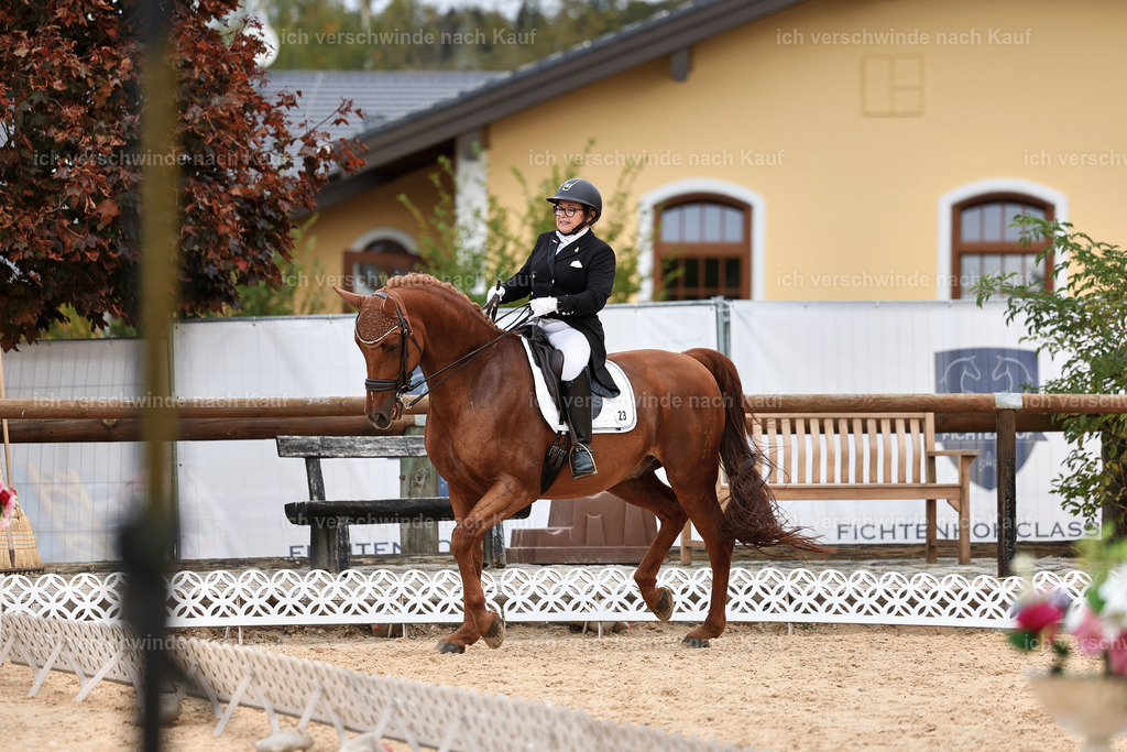 11-023-Dressur S___-StoibPH-1137 | working equitationturnier fotograf videograf stoibphotography marixx film working equitation deutschland reitsport turnierfotografie eventfotografie equestrian events