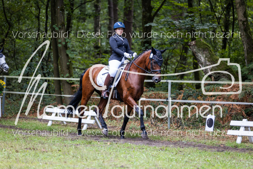 HB-Dressur-WB-040 | MomenTaufnahmen Pferdesportfotos