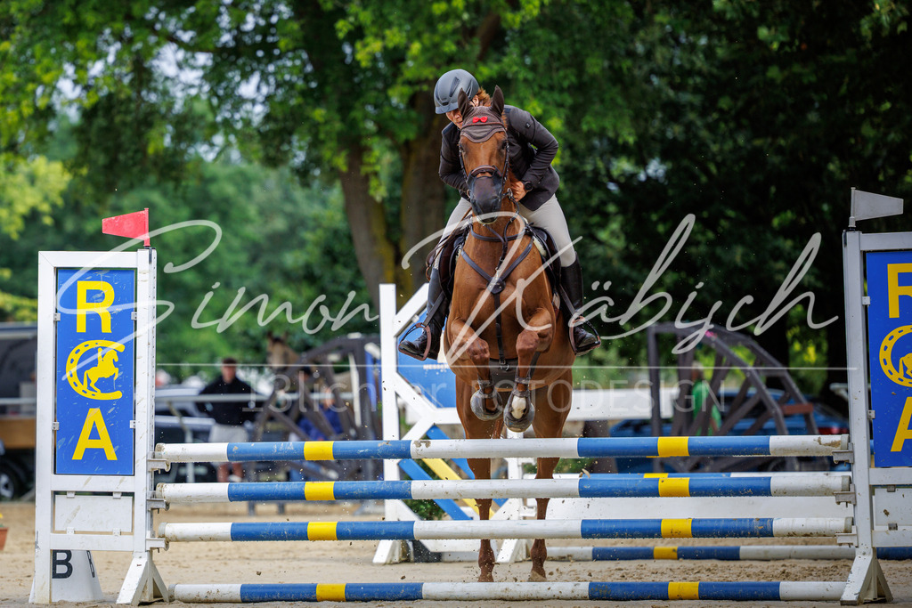 20260705-_3LI3842 | Tierfotografie Pferde, Hunde, Katzen, Haustiere.
Turnierfotografie Reitturniere, Reiten, Springreiten, Dressur in Hanau, dem Main-Kinzig-Kreis und dem Rhein-Main- Gebiet um Frankfurt