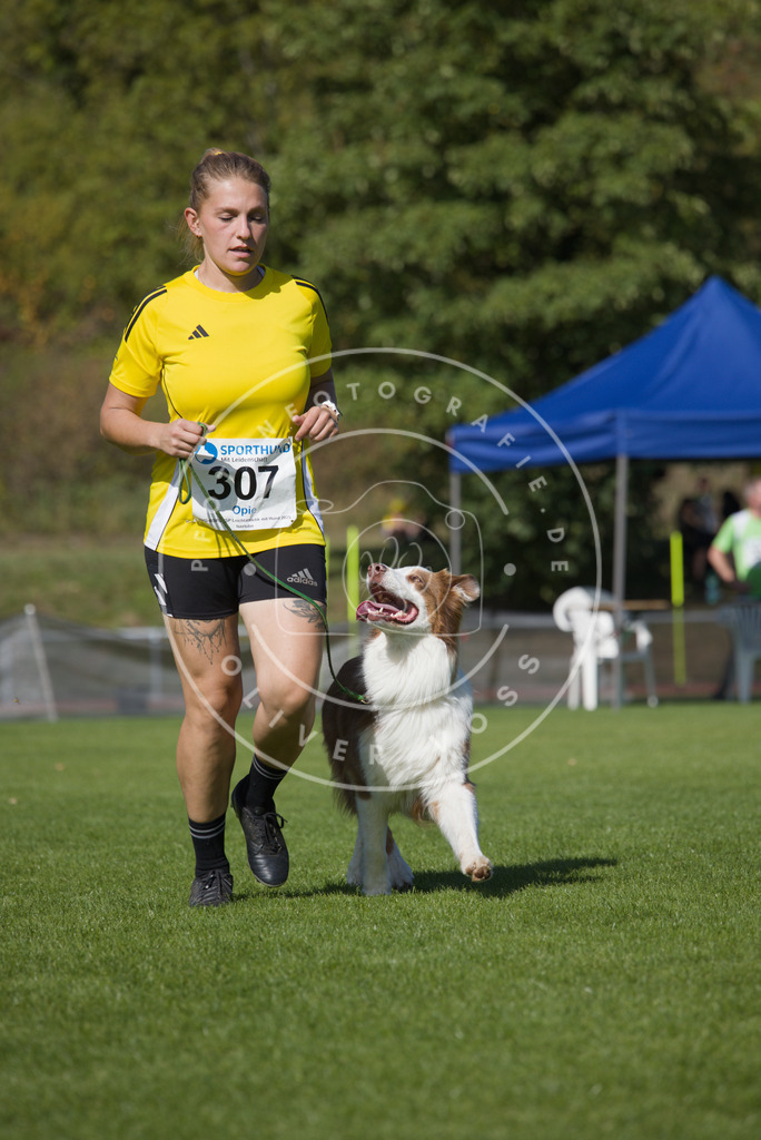 0L8A7792 | Hundefotografie, Tierfotograf, Pfotenfotografie, Fotoshooting Hund, Hunde Portrait, Hundesport, Hundeportraits, Heideshooting, Hunde, Sportfotograf, Hundefotograf, Turnierhundsport, THS,  - Realisiert mit Pictrs.com