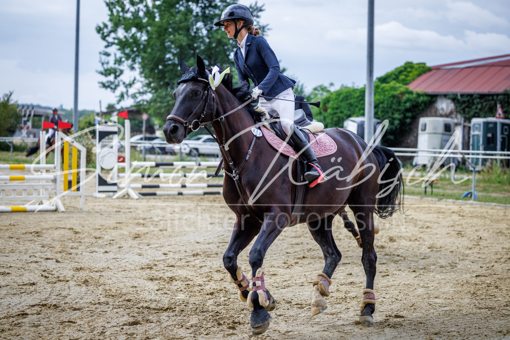 20260705-_3LI4075 | Tierfotografie Pferde, Hunde, Katzen, Haustiere.
Turnierfotografie Reitturniere, Reiten, Springreiten, Dressur in Hanau, dem Main-Kinzig-Kreis und dem Rhein-Main- Gebiet um Frankfurt