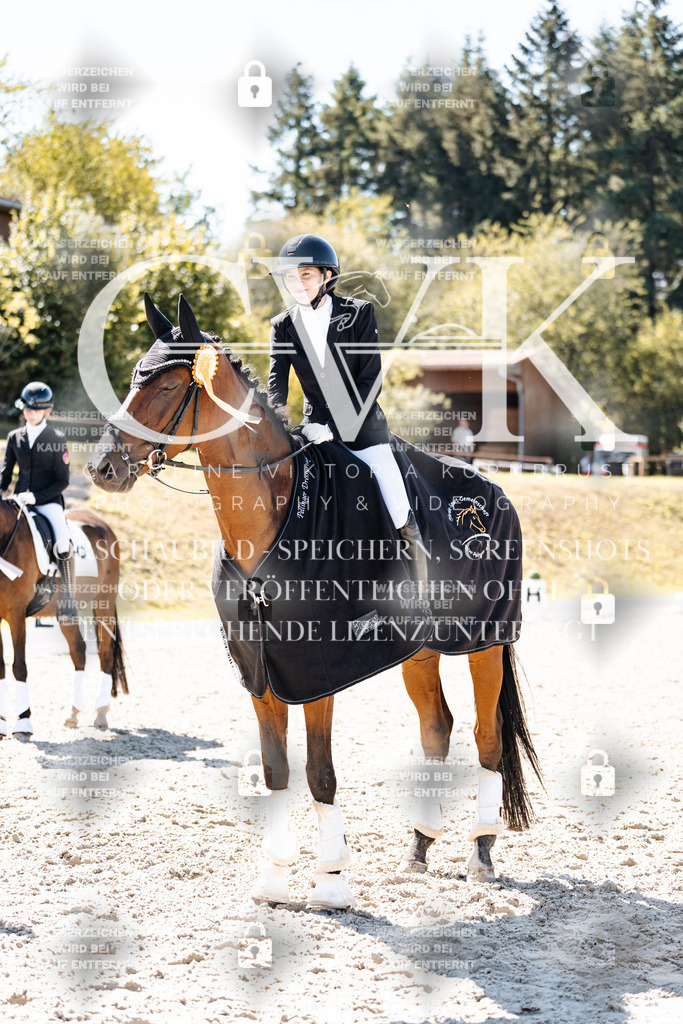 CK909937 | Turnierfotografie Pferdefotografie Trier Rheinland-Pfalz Pferdesport Reitsport Tierfotografie Sportfotografie Pferdevideo Pferdevideografie Equestrianvideography equestrianphotography  - Realisiert mit Pictrs.com