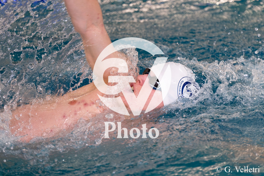 DSC_2356 | Velletri Photo