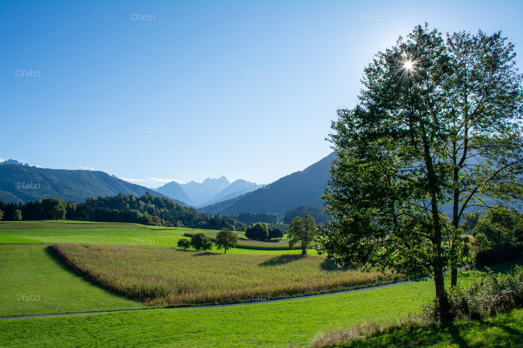 Dobr Panorama 2025 (Hohenthurn)_170637__fatzi | Fatzi Bilder-Archiv! 
Die Bilder sind für private Nutzung lizenzfrei. Die kommerzielle Nutzung ist möglich und erwünscht, jedoch bitte ich um vorherige Kontaktaufnahme per E-Mail (info@fatzi.at) oder unter +43 650 7828269 - Realisiert mit Pictrs.com