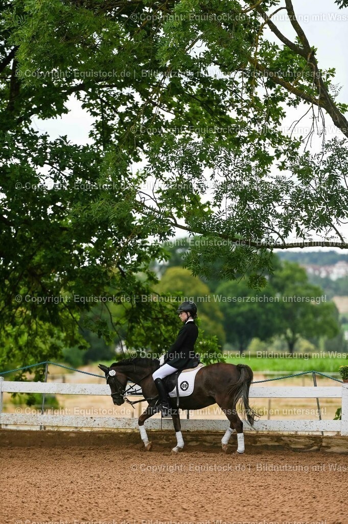 20230716_10-2_Reiter-WB Schritt - Trab - Galopp_0070 | equistock