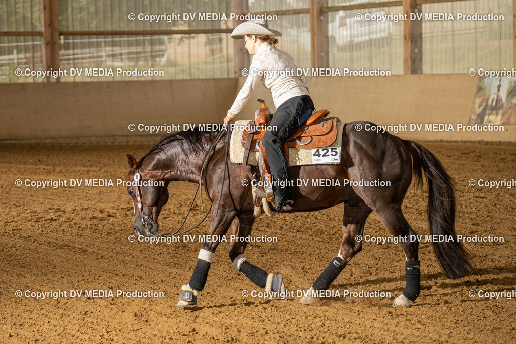 LAU01551 | dv-media-shop - Realisiert mit Pictrs.com