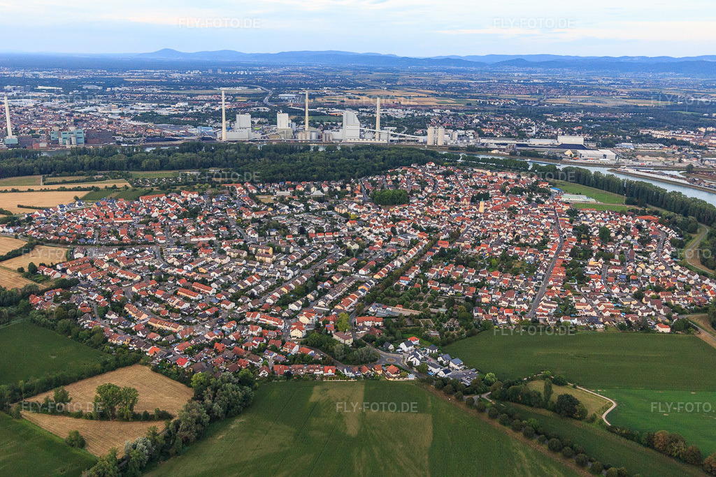 Luftbild: Ortsansicht von Westen in Altrip im Bundesland Rheinland-Pfalz in Deutschland. Foto: IMG_121099.jpg vom 25.07.2020 durch Werner Riehm/FLY-FOTO.de