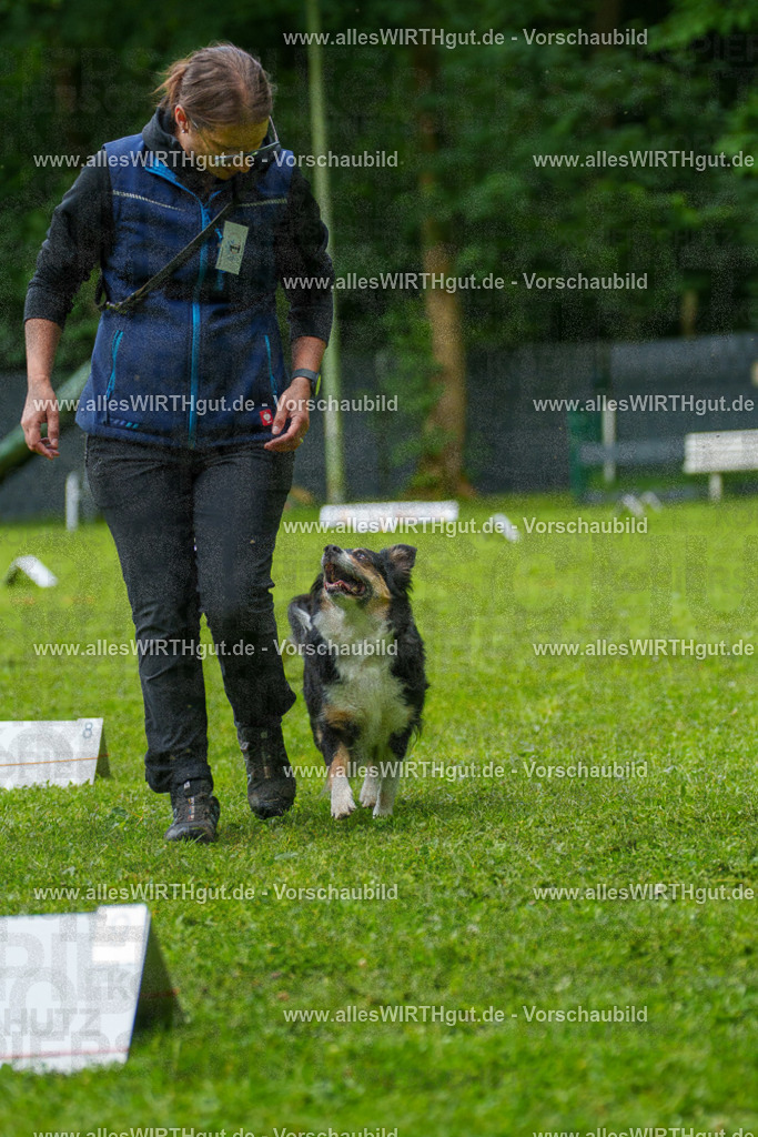@allesWIRTHgut_Tierfotografie - www.allesWIRTHgut.de - 7R501971 | Professionelle Tierfotografie in Mönchengladbach von Daniel Wirth (allesWIRTHgut). Liebevolle & natürliche Bilder von Hunden & Katzen für unvergessliche Erinnerungen.