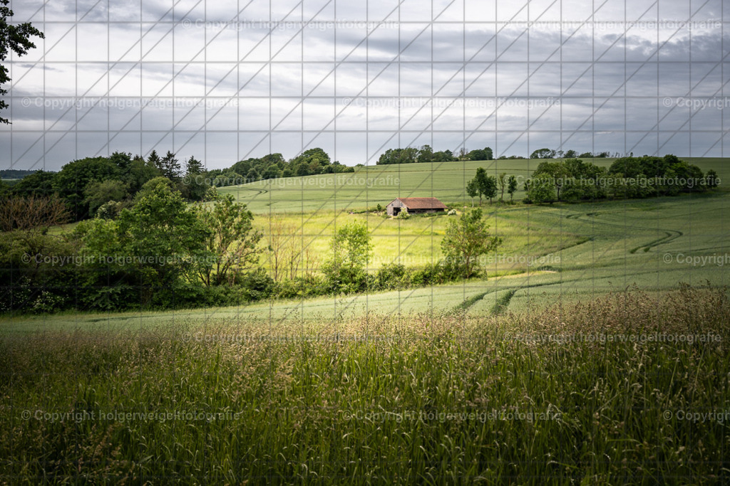 20260616110359Z63_4605 | Kaufen sie online außergewöhnliche Fotografien auf Leinwand Acrylglas Fotoprint Aludibond von holgerweigeltfotografie - Realisiert mit Pictrs.com