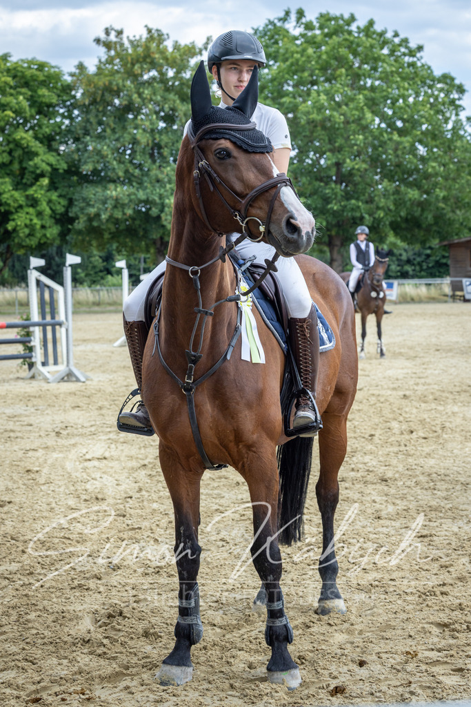 20260704-_3LI1869 | Tierfotografie Pferde, Hunde, Katzen, Haustiere.
Turnierfotografie Reitturniere, Reiten, Springreiten, Dressur in Hanau, dem Main-Kinzig-Kreis und dem Rhein-Main- Gebiet um Frankfurt