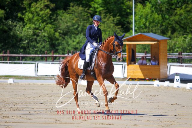 DKP42305 | Turniersportfotografie; Pferdefotografie; Dressurfotografie