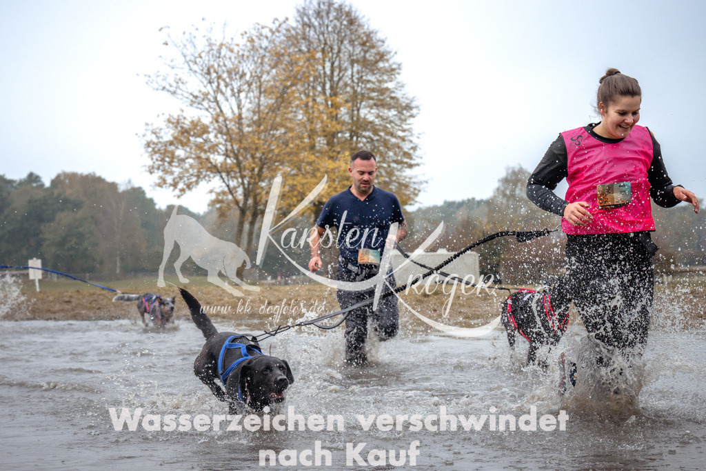 1108_ZZ93127 | kk-dogfotos