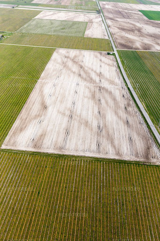 Vue aérienne: Vue de la ville à Rauscedo-Domanins dans le département Frioul-Vénétie Julienne, Italie. Photo: IMG_105765.jpg prise le 08/04/2018 par Werner Riehm/FLY-FOTO.eu – Résolution de l'original: 3648 x 5472 px