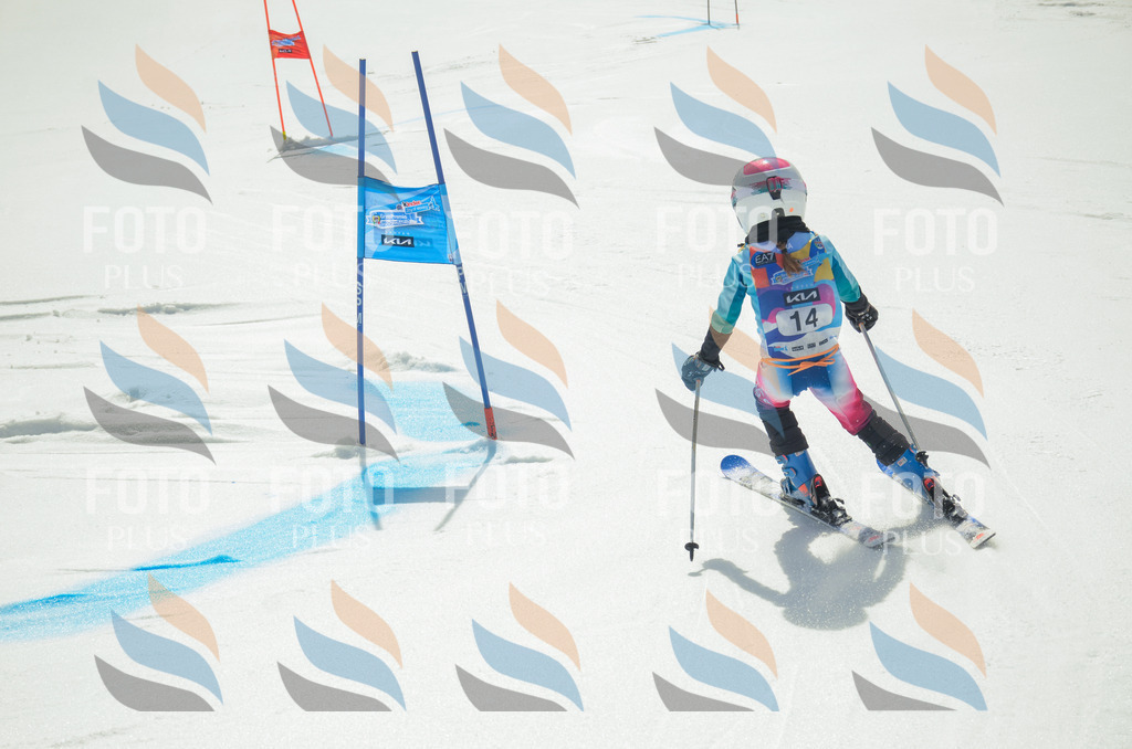 _ELE4642 | holidayphoto