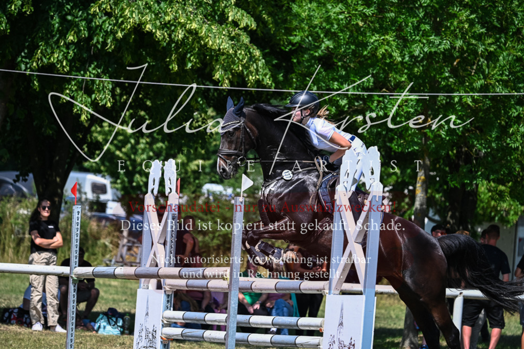 DSC_1016 | Pferde- und Turnierfotografie in Westsachsen. Pferdeportraits, Auftragszeichnungen und intuitive Kunst.