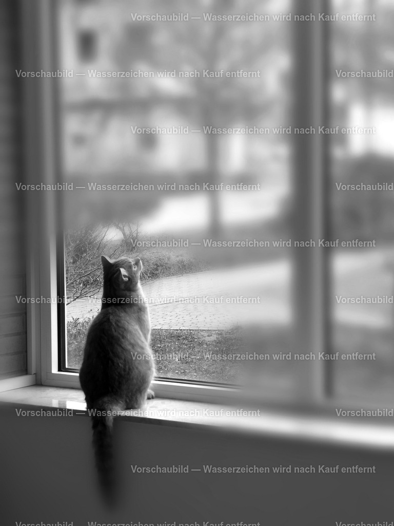 Sehnsucht | online Fotogalerie mit schwarz-weiß Fotografien und Shop für zeitlose  Poster und Leinwände in stilvollem schwarz weiß  - Realisiert mit Pictrs.com