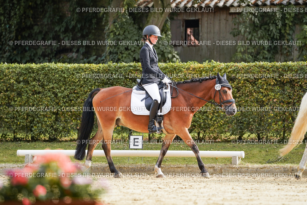 DSC04697 | Pferdegrafie