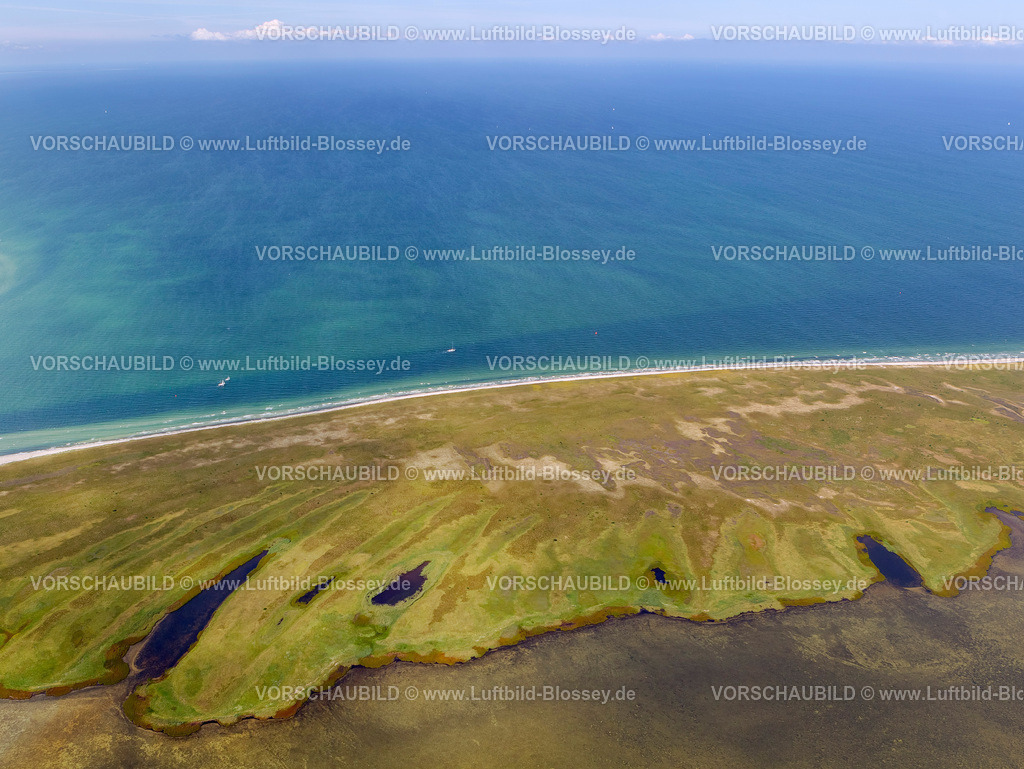 Hiddensee12081701 | Süden der Insel Hiddensee, Naturschutzgebiete Gellen und Gänsewerder, Naturschutzgebiet Dünenheide, Heidelandschaft,  Insel Hiddensee, Ostseeinsel, Mecklenburg-Vorpommern, Deutschland, Europa