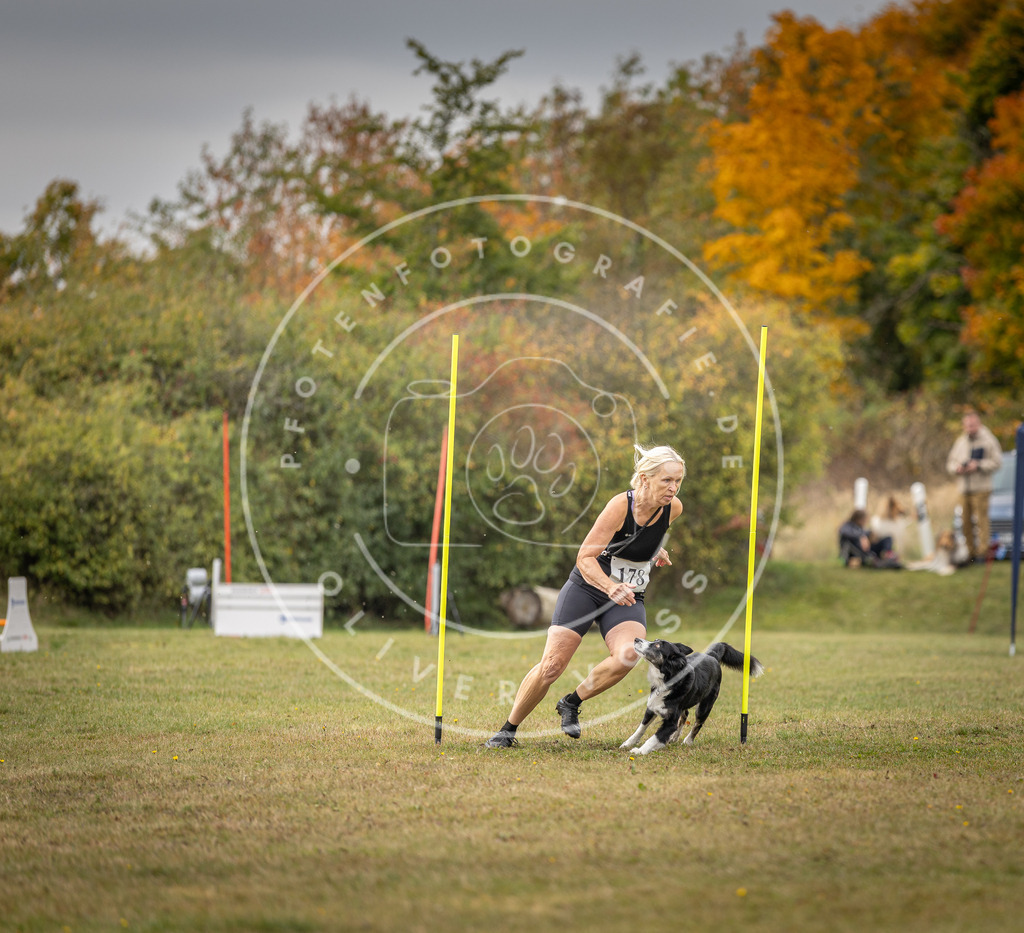 Pfotenfotografie_DV3A5881 | Hundefotografie, Tierfotograf, Pfotenfotografie, Fotoshooting Hund, Hunde Portrait, Hundesport, Hundeportraits, Heideshooting, Hunde, Sportfotograf, Hundefotograf, Turnierhundsport, THS,  - Realisiert mit Pictrs.com