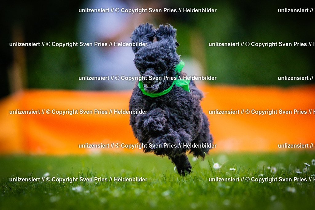 Sven Pries | 2025-05-29 - Pudelrennen KA-Durlach - Realisiert mit Pictrs.com