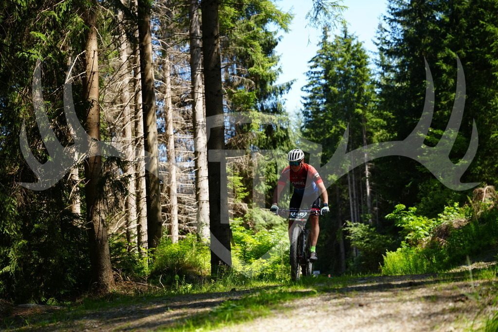 FC101511 | Fotogalerie der Treibjagd im Dunkelwald - Dein MTB Etappenrennen im Erzgebirge - Realisiert mit Pictrs.com