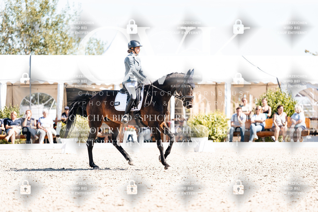 CK909811 | Turnierfotografie Pferdefotografie Trier Rheinland-Pfalz Pferdesport Reitsport Tierfotografie Sportfotografie Pferdevideo Pferdevideografie Equestrianvideography equestrianphotography  - Realisiert mit Pictrs.com