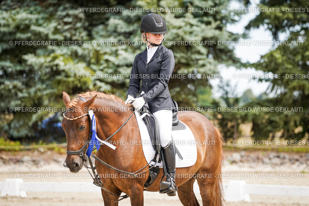 DSC02644 | Pferdegrafie