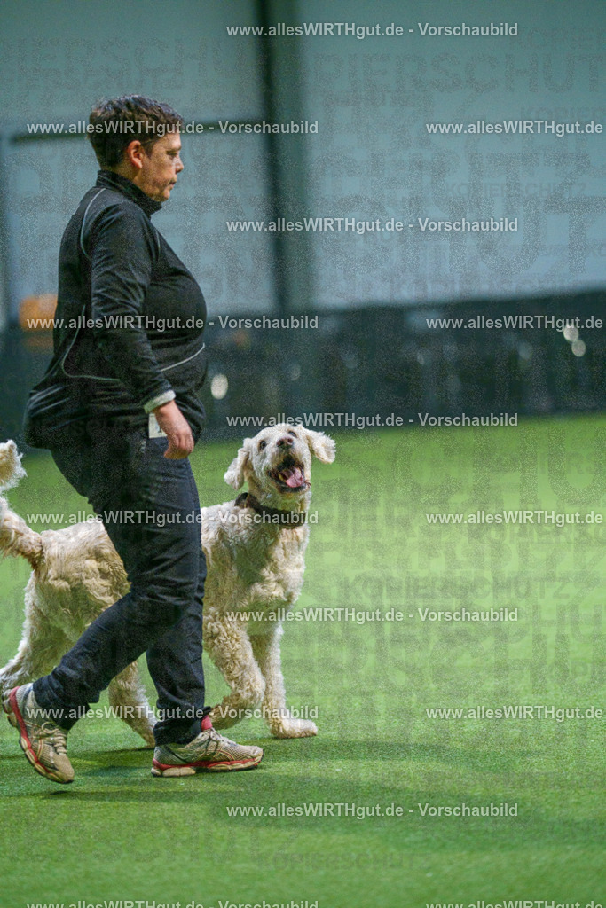 7R500825 | Professionelle Tierfotografie in Mönchengladbach von Daniel Wirth (allesWIRTHgut). Liebevolle & natürliche Bilder von Hunden & Katzen für unvergessliche Erinnerungen.