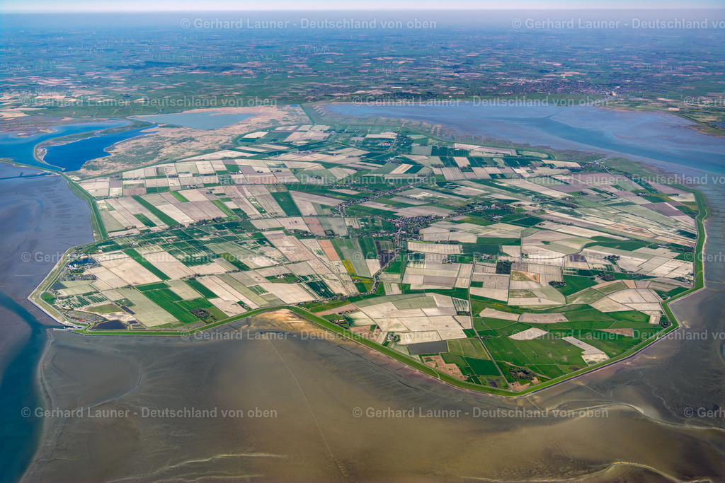 3801580 | Pellworm, Nationalpark Schleswig-Holsteinisches Wattenmeer