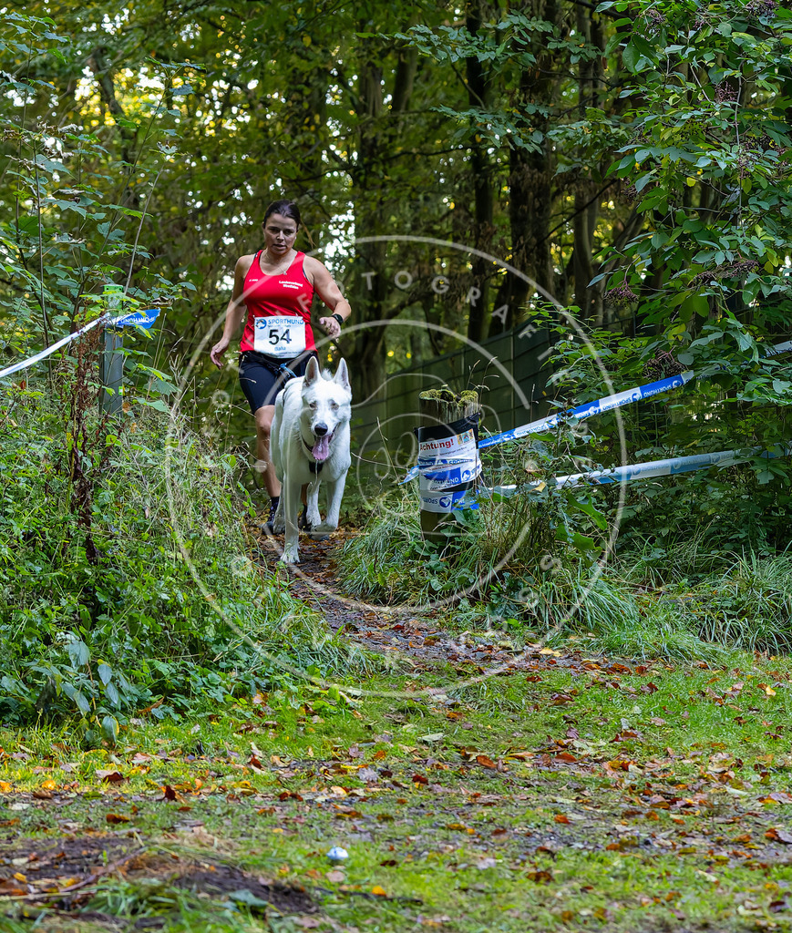 Pfotenfotografie_DV3A7056 | Hundefotografie, Tierfotograf, Pfotenfotografie, Fotoshooting Hund, Hunde Portrait, Hundesport, Hundeportraits, Heideshooting, Hunde, Sportfotograf, Hundefotograf, Turnierhundsport, THS,  - Realisiert mit Pictrs.com