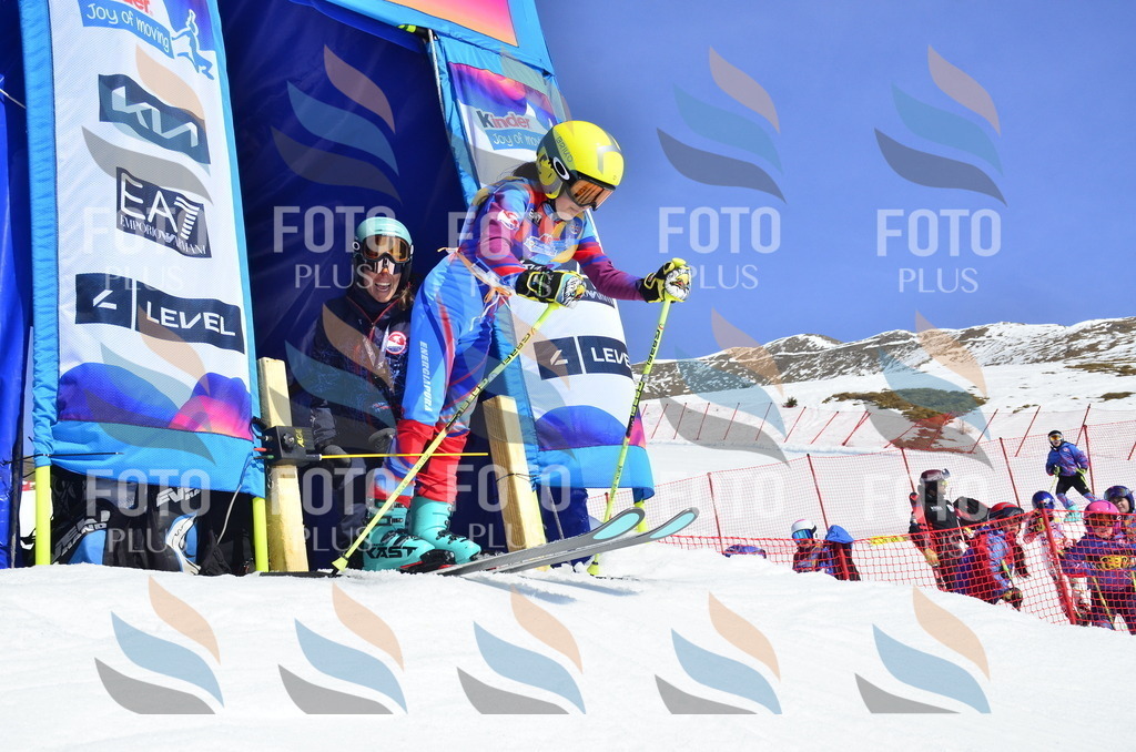 _ELE0038 | holidayphoto