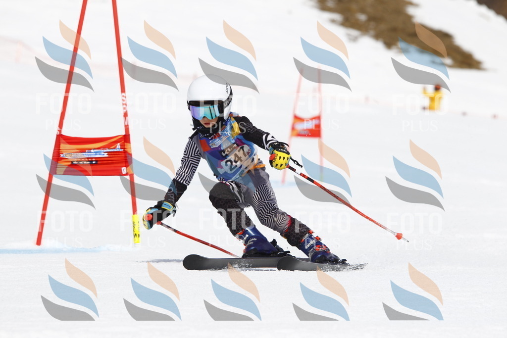 _U3G6249 | holidayphoto