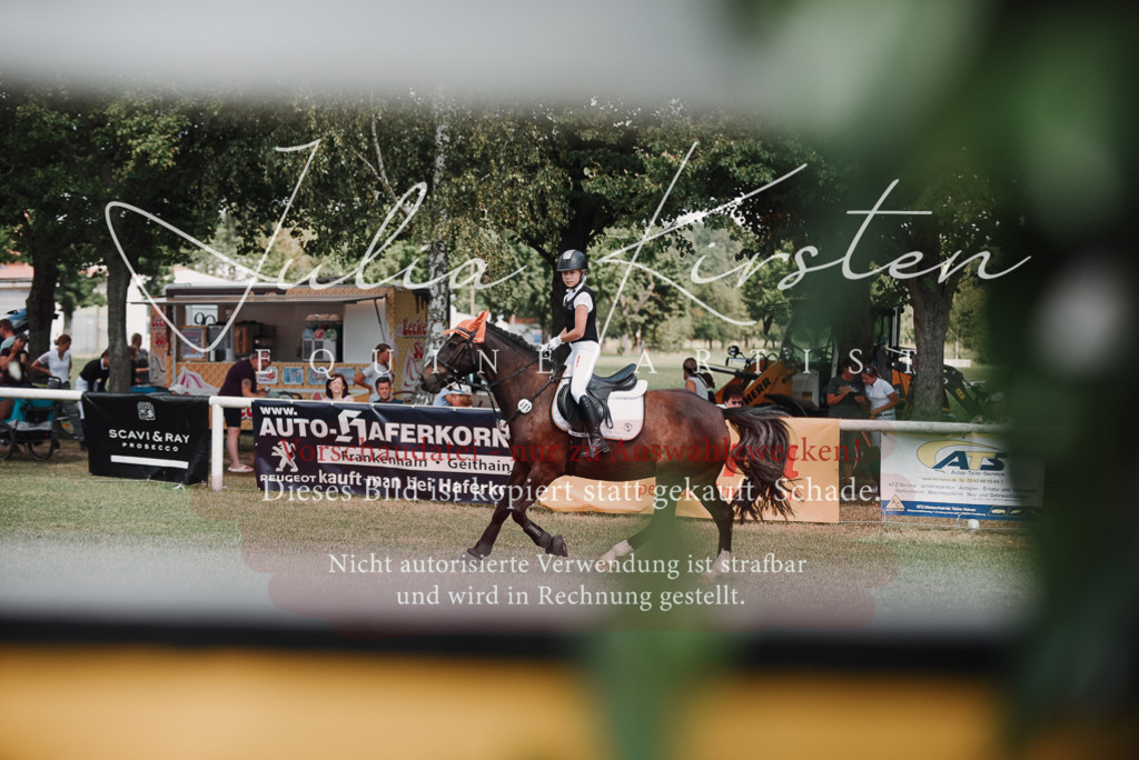 DSC_5693 | Pferde- und Turnierfotografie in Westsachsen. Pferdeportraits, Auftragszeichnungen und intuitive Kunst.