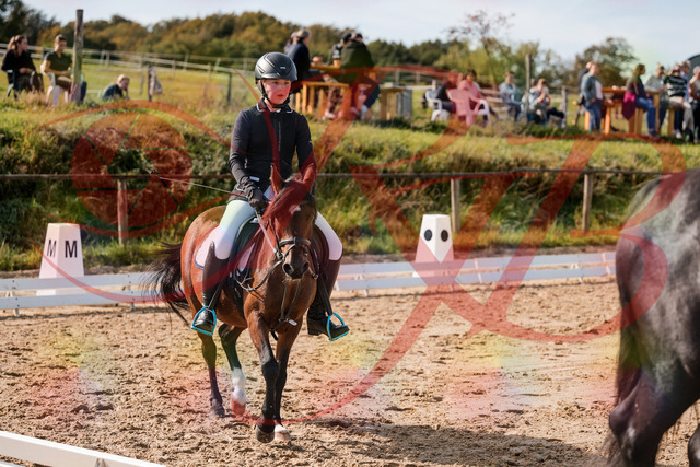 2026_10_03_Siefer-Hof_120832_Z63_38086064 | Professionelle Reitsport-, Turnier- und Eventfotografie von Robert Broda. Galerien mit ausgewählten und bearbeiteten Bildern direkt online ansehen und bestellen.