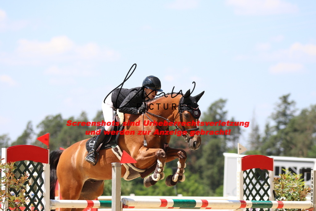 IMG_2277 | lmwpictures - Realisiert mit Pictrs.com