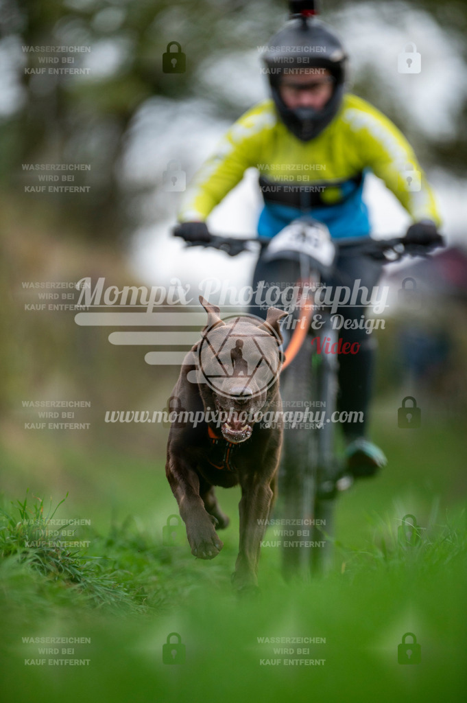TSB_2023_E8_Bike-79 | PayLife