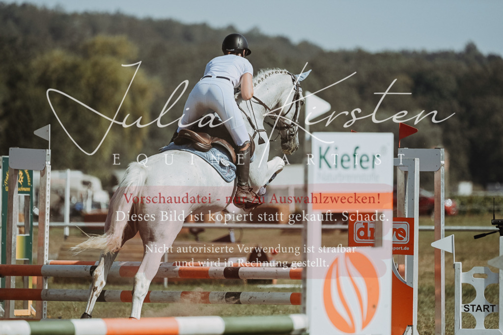 DSC_9578 | Pferde- und Turnierfotografie in Westsachsen. Pferdeportraits, Auftragszeichnungen und intuitive Kunst.