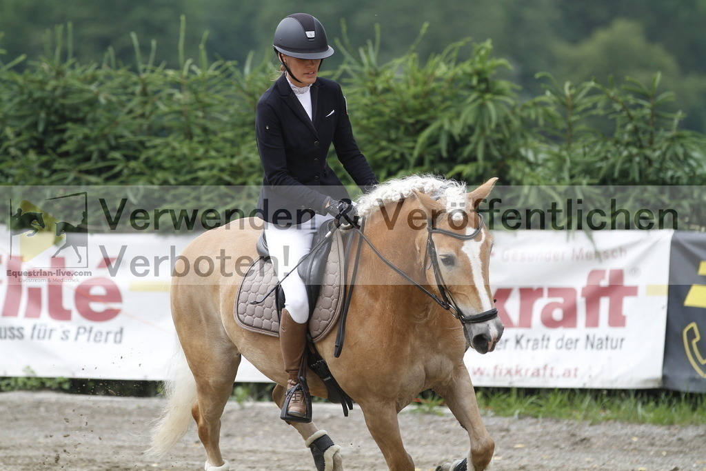 _MG_6439 | equestrian-live-com