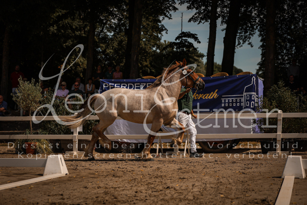 1.Sa00038 | Leoni Ertmer Photography - Realisiert mit Pictrs.com