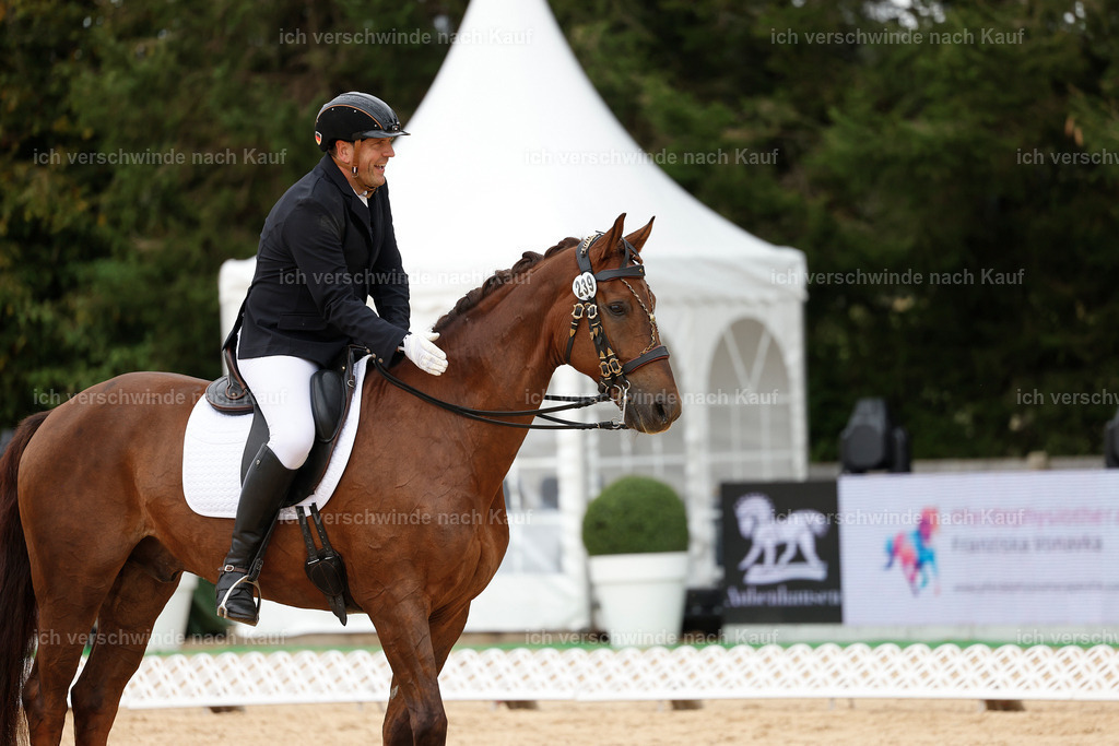 3-239-Dressur M_-StoibPH-2431 | working equitationturnier fotograf videograf stoibphotography marixx film working equitation deutschland reitsport turnierfotografie eventfotografie equestrian events