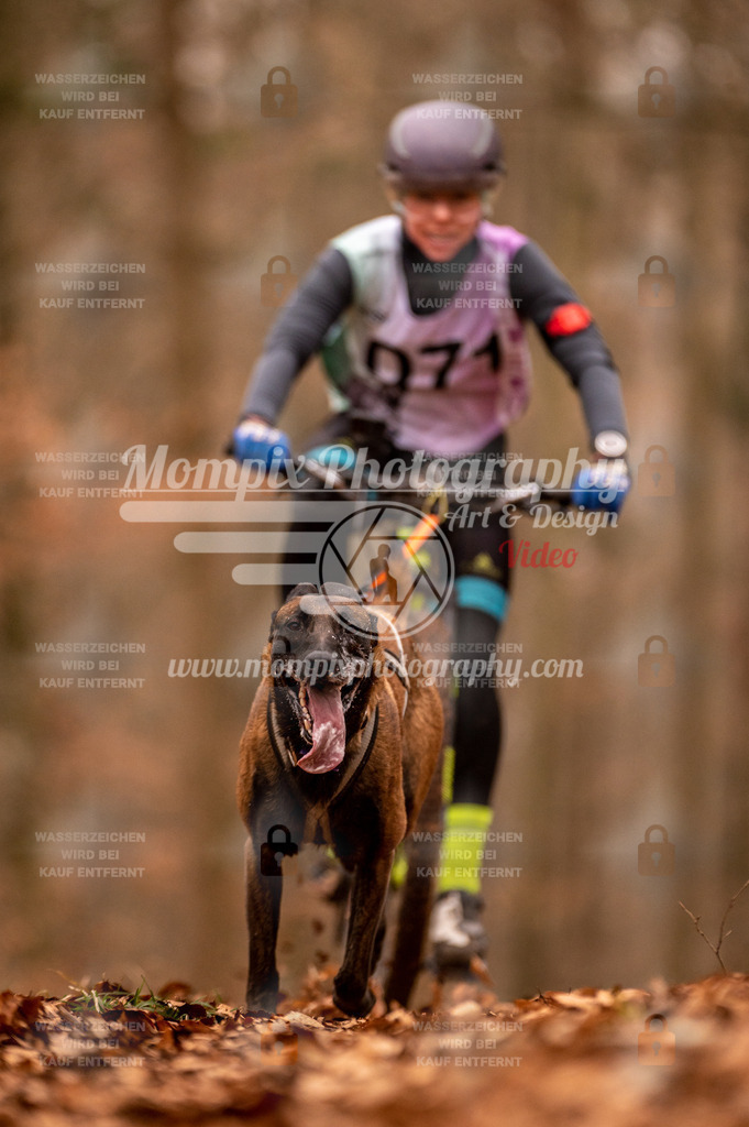 AKM_ST_2023_Son_Bike-40 | PayLife