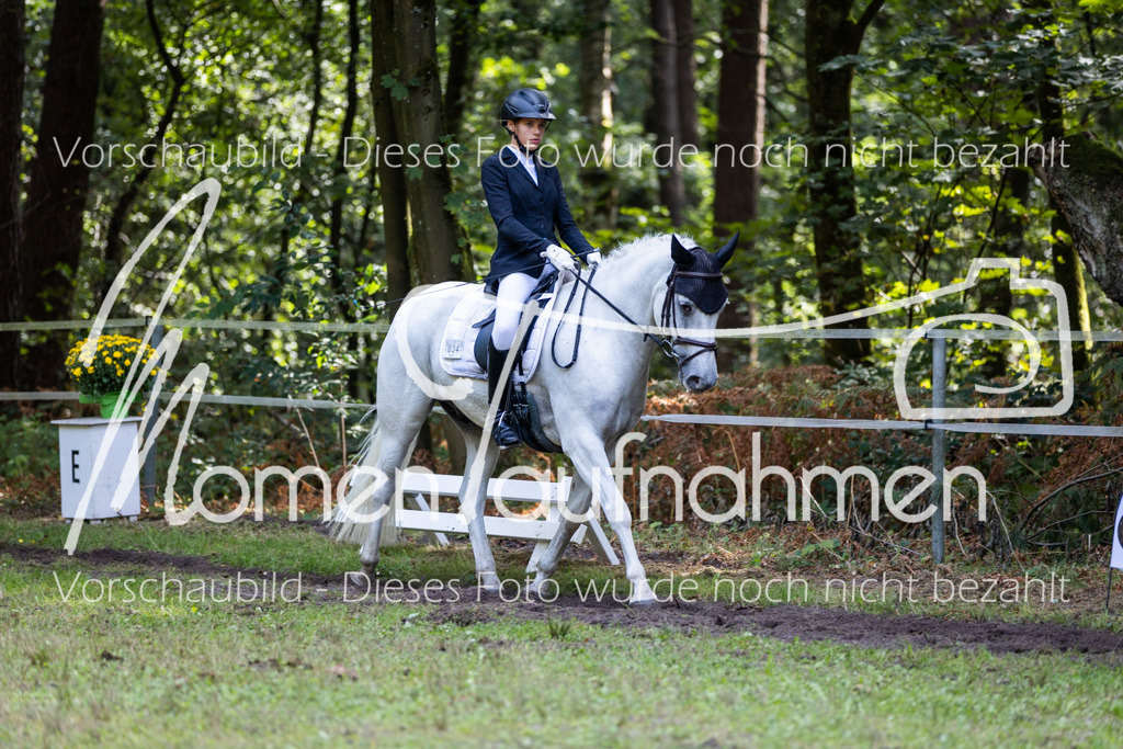 HB-Dressur-WB-118 | MomenTaufnahmen Pferdesportfotos