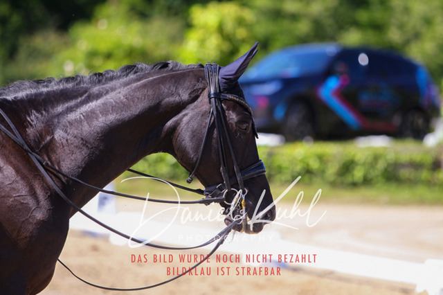 DKP42451 | Turniersportfotografie; Pferdefotografie; Dressurfotografie